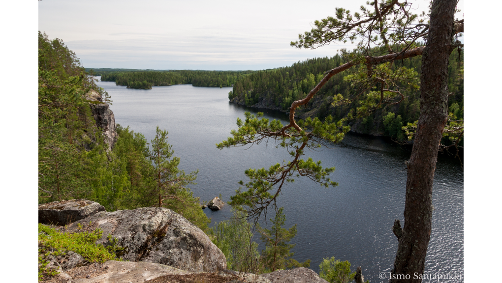 Kaarinanpolun vaellusreitti - Kangasala